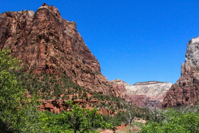 Zion 2025☀️